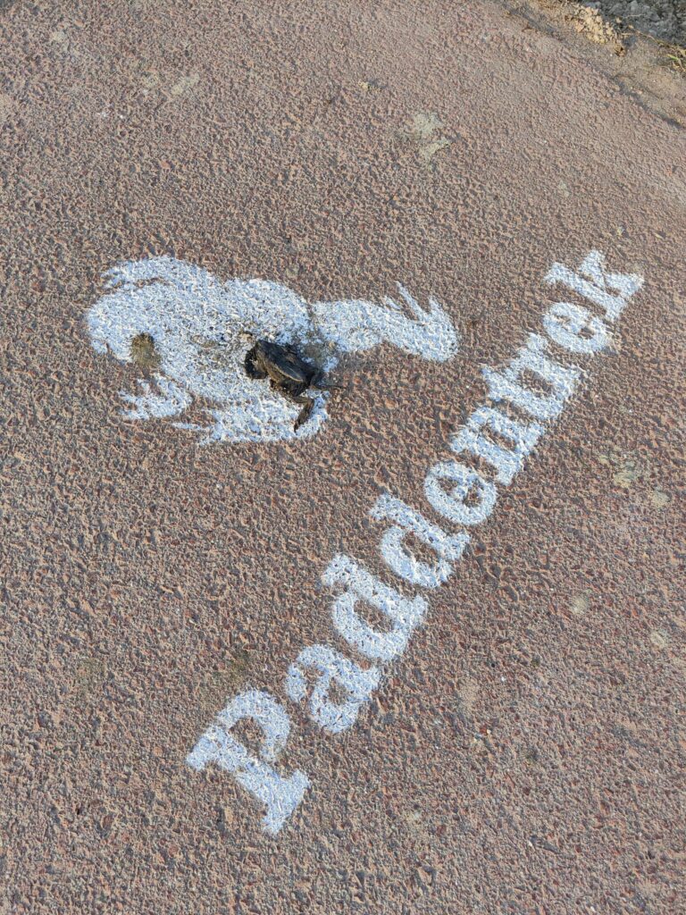 Paddentrek afbeelding op fietspad